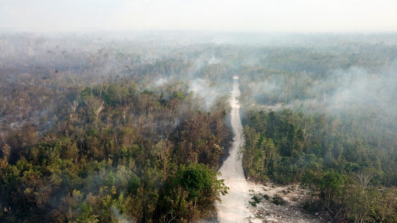 Incendios en Quintana Roo: Registran más de 149 mil hectáreas afectadas