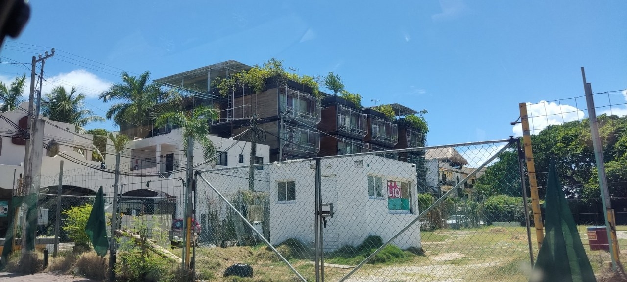 Inmobiliarias deforestan selva baja en Playa del Carmen: Semarnat
