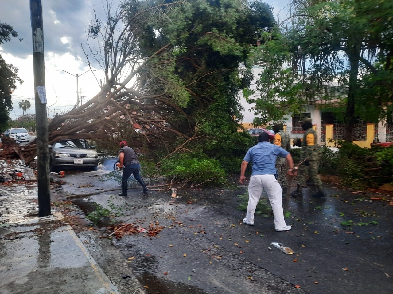 Permanecen en el hospital sólo dos  hombres a los que les cayó un árbol