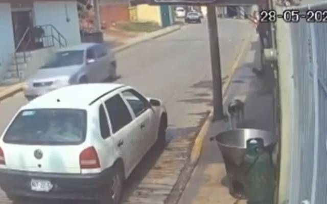 Hombre mete a perrito a un cazo con aceite