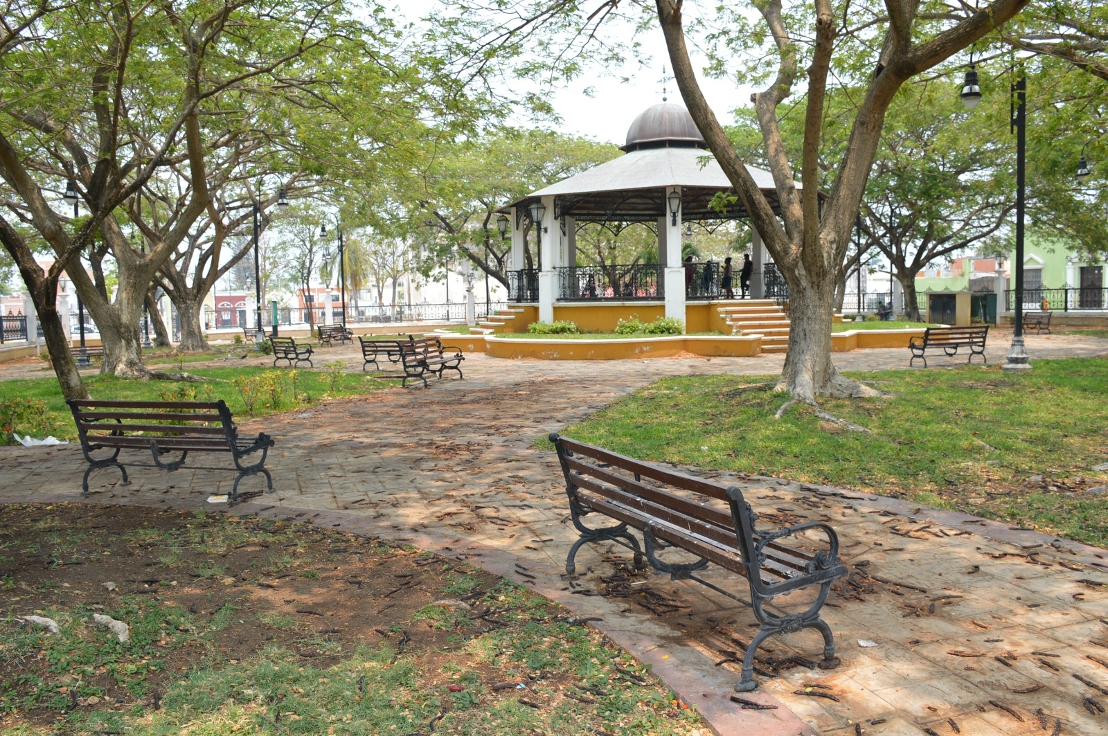 Parques y barrios de Campeche se encuentran en abandono