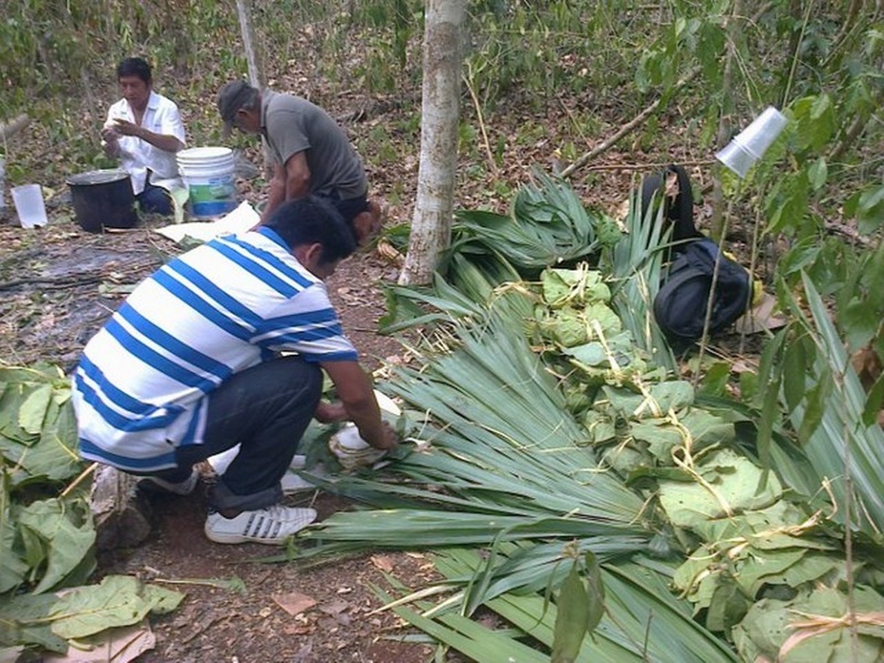 Campesinos mayas de José María Morelos se olvidan de Chaak, el 'Dios de la lluvia'