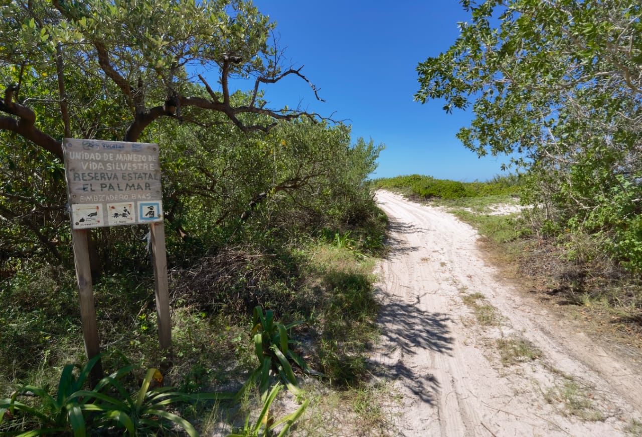 Ambos proyectos afectan la costa de Yucatán