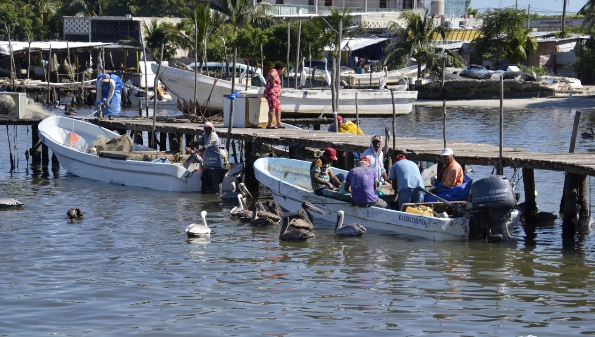 Ambientalistas acusan a pescadores de Ciudad del Carmen por las muertes de delfines y tortugas