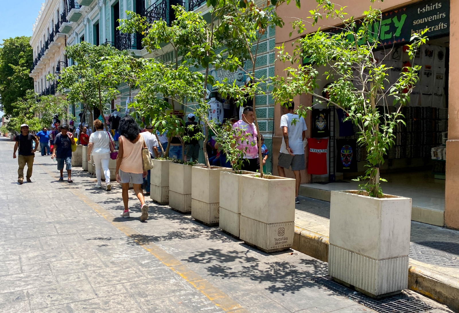 Cuestionan la permanencia de las macetas en el Centro de Mérida; sólo estorban, aseguran