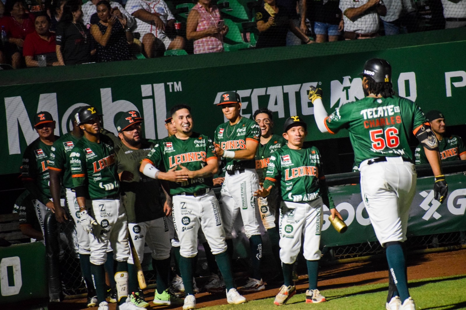 Leones de Yucatán ganan 4 a 0 a los Tecolotes de los Dos Laredos