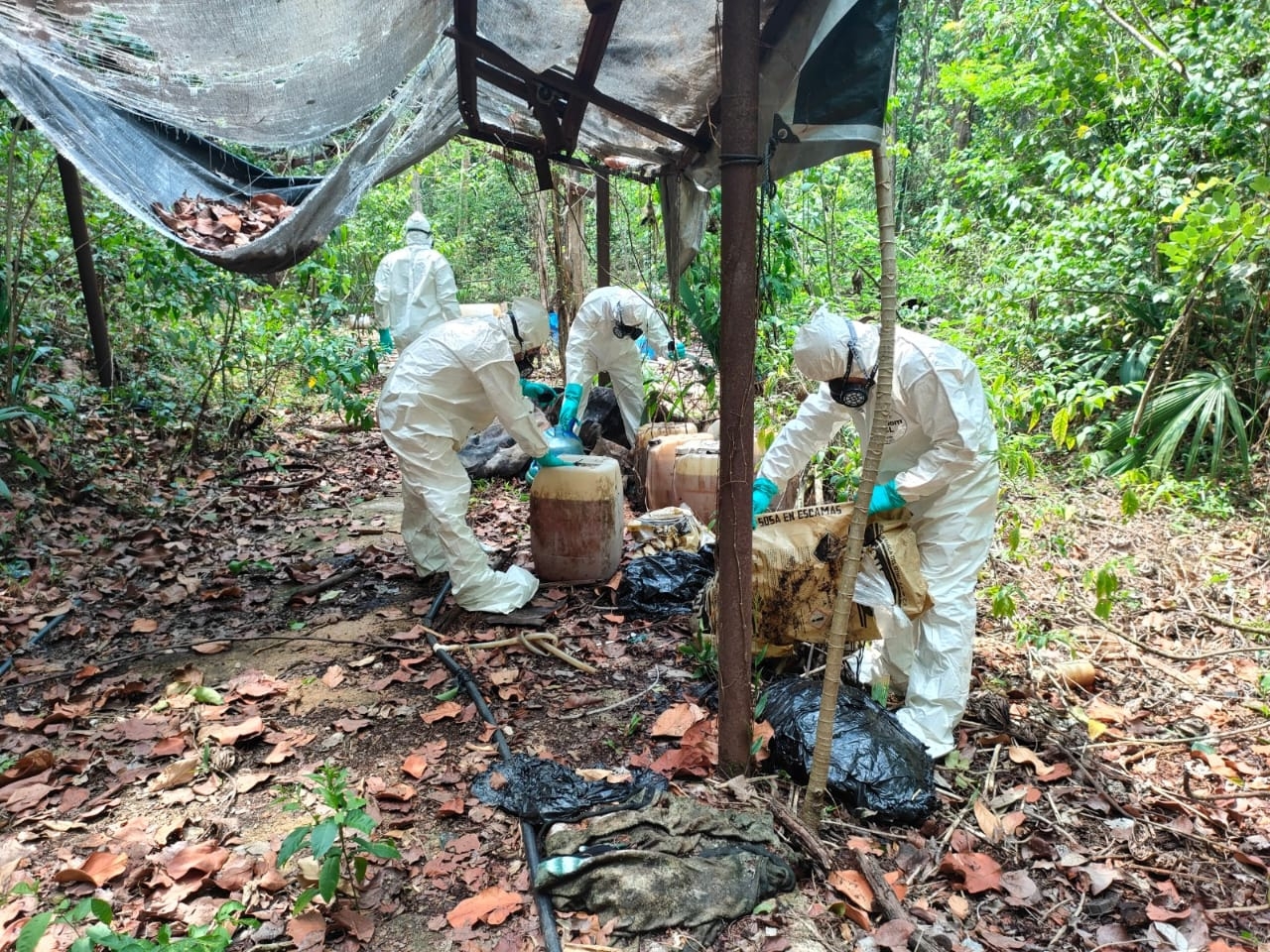 El Ejército Mexicano y la Guardia Nacional, inhabilitaron un campamento donde se procesaba la droga