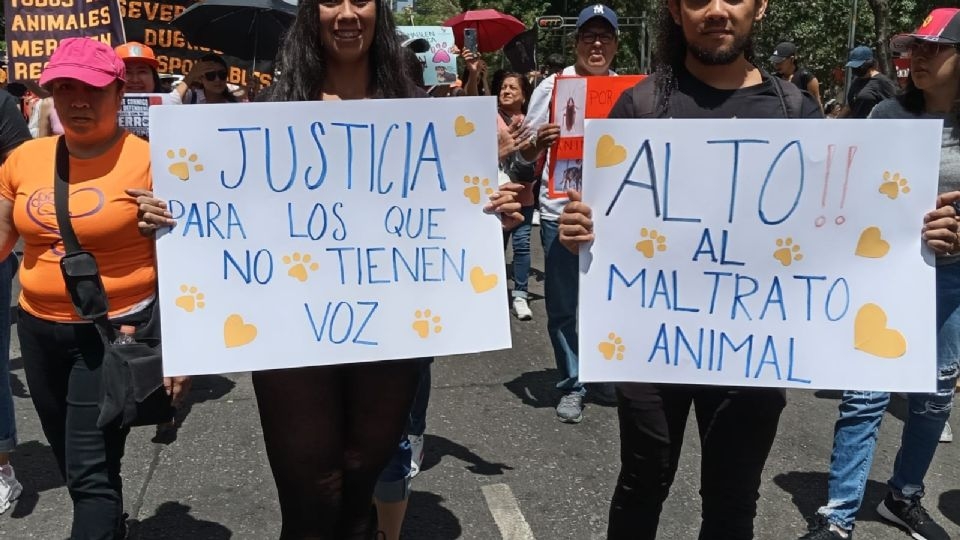 Miles de pancartas se levantaron por todo Paseo de la Reforma