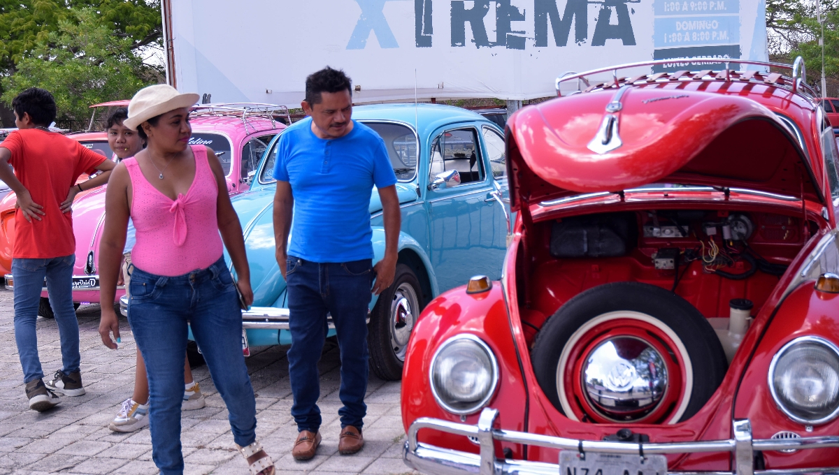 Celebran el 'escarabajo' con ruedas en Mérida; más de 150 volchos fueron exhibidos