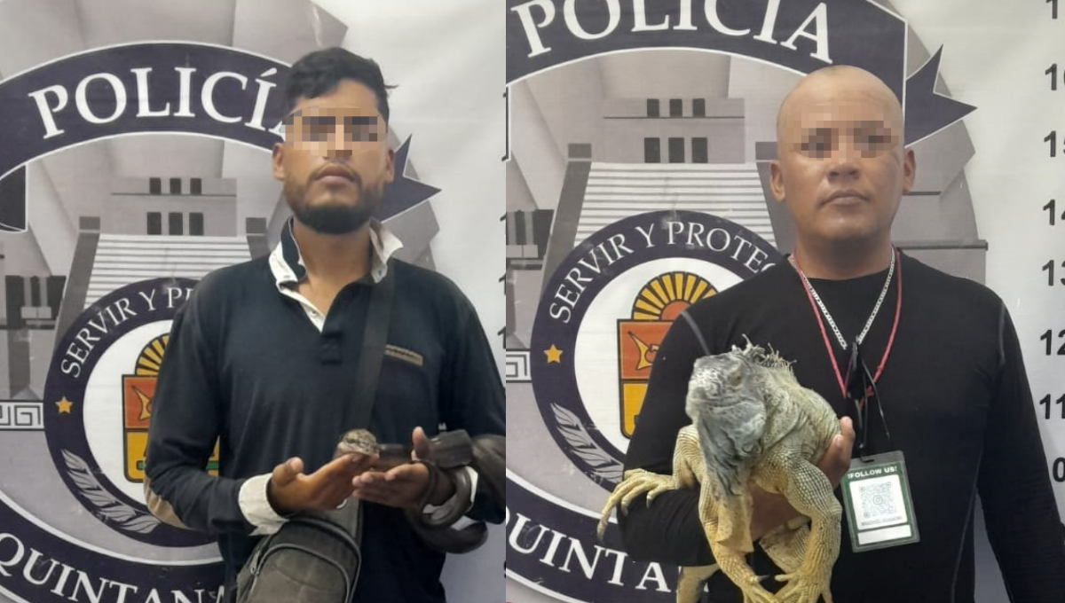 Fueron detenidos Fernando “N", y Jesús Ismael “N” por posibles delitos contra la biodiversidad