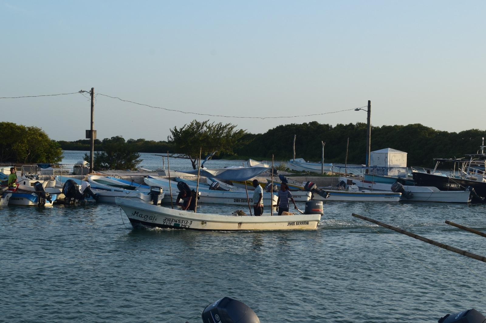 Una propuesta es crear una cooperativa entre los pescadores y privatizarlo