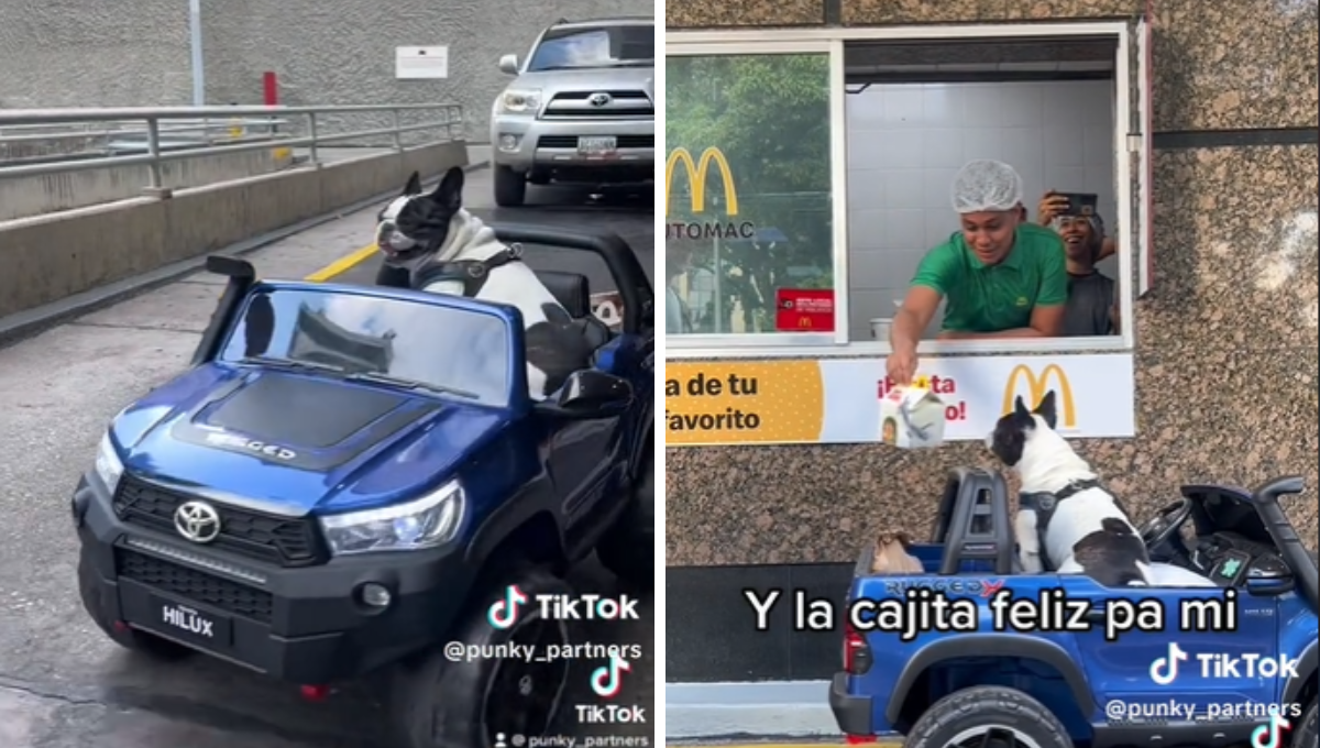 Bulldog llega a comprar una Cajita Feliz en su propia camioneta en la CDMX