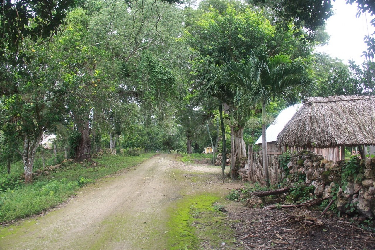 Comunidad en Felipe Carrillo Puerto reporta nuevo desabasto de agua