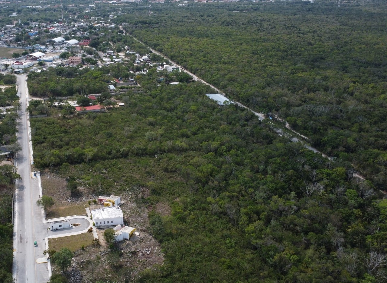 Ellos son los integrantes de la mafia de tierras ejidales en Tulum