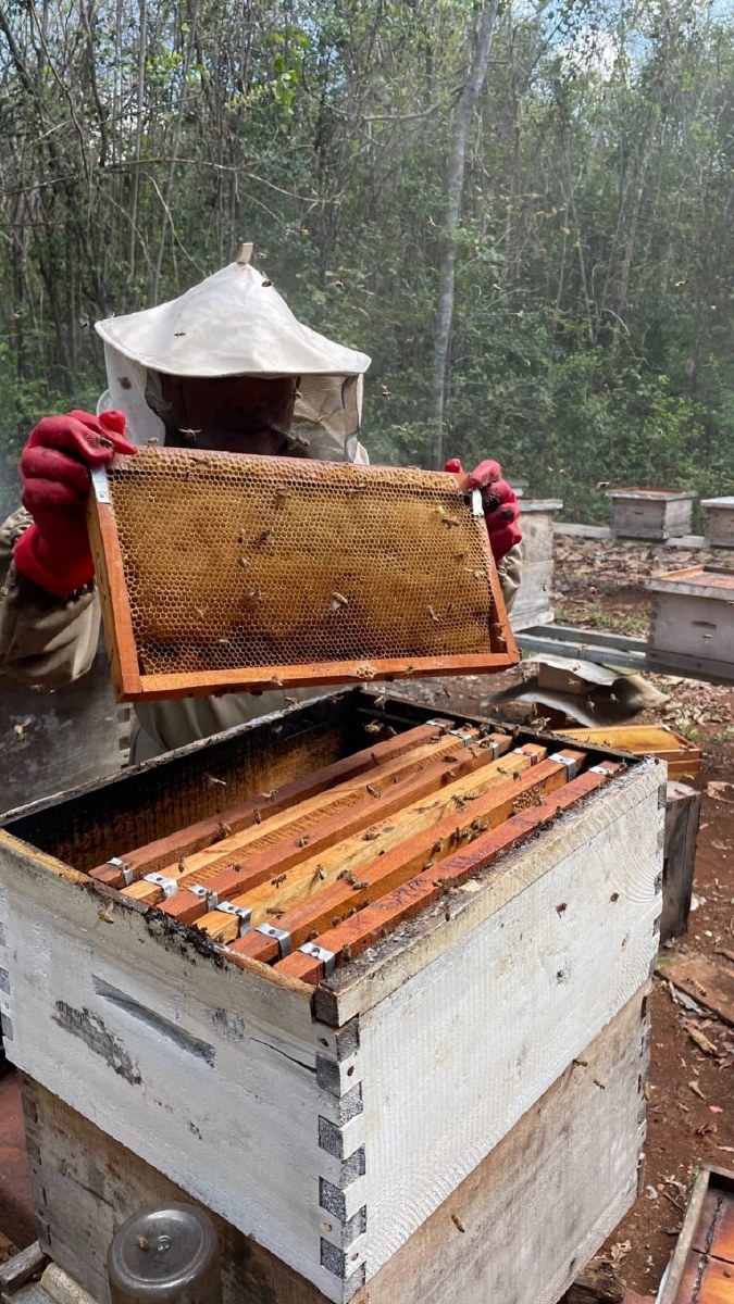 La producción china invadió el mercado y lo saturó, por lo que el precio del dulce cayó a 20 pesos