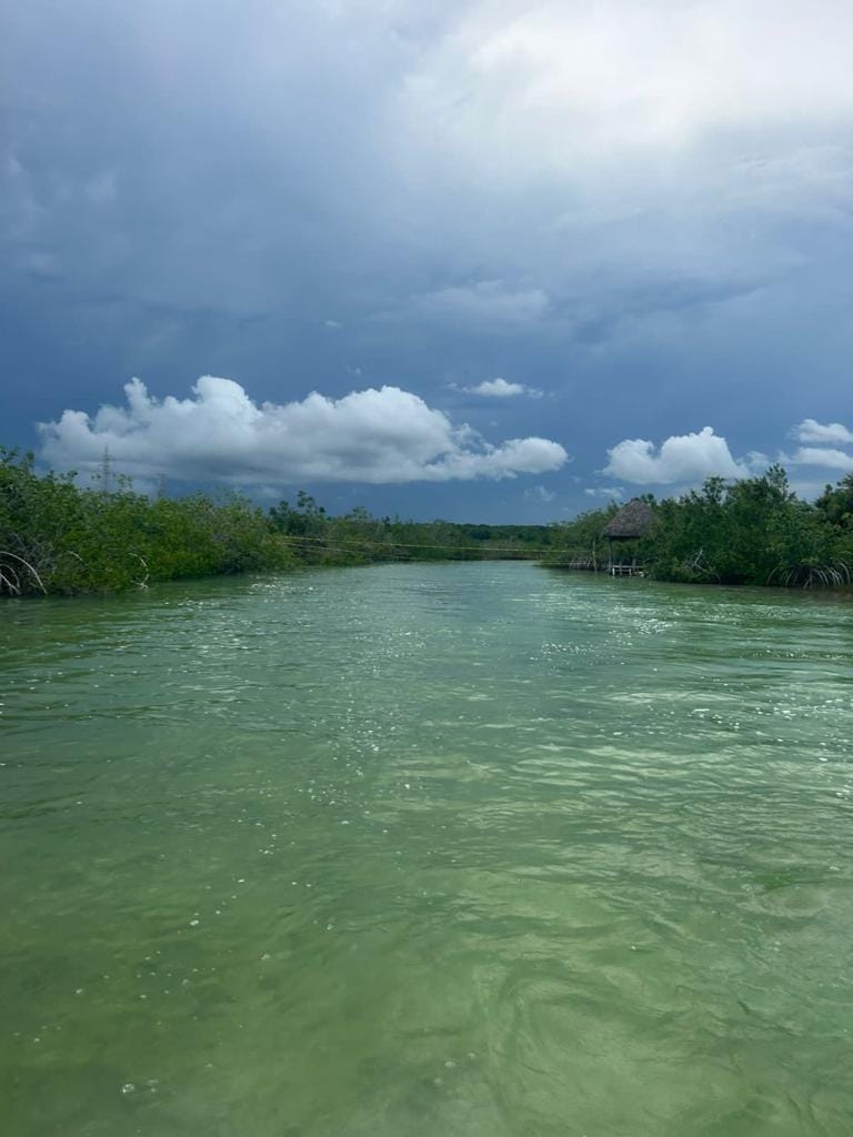 Estero de Chac: Autoridad federal emitiría sanciones por relleno del canal en Chetumal