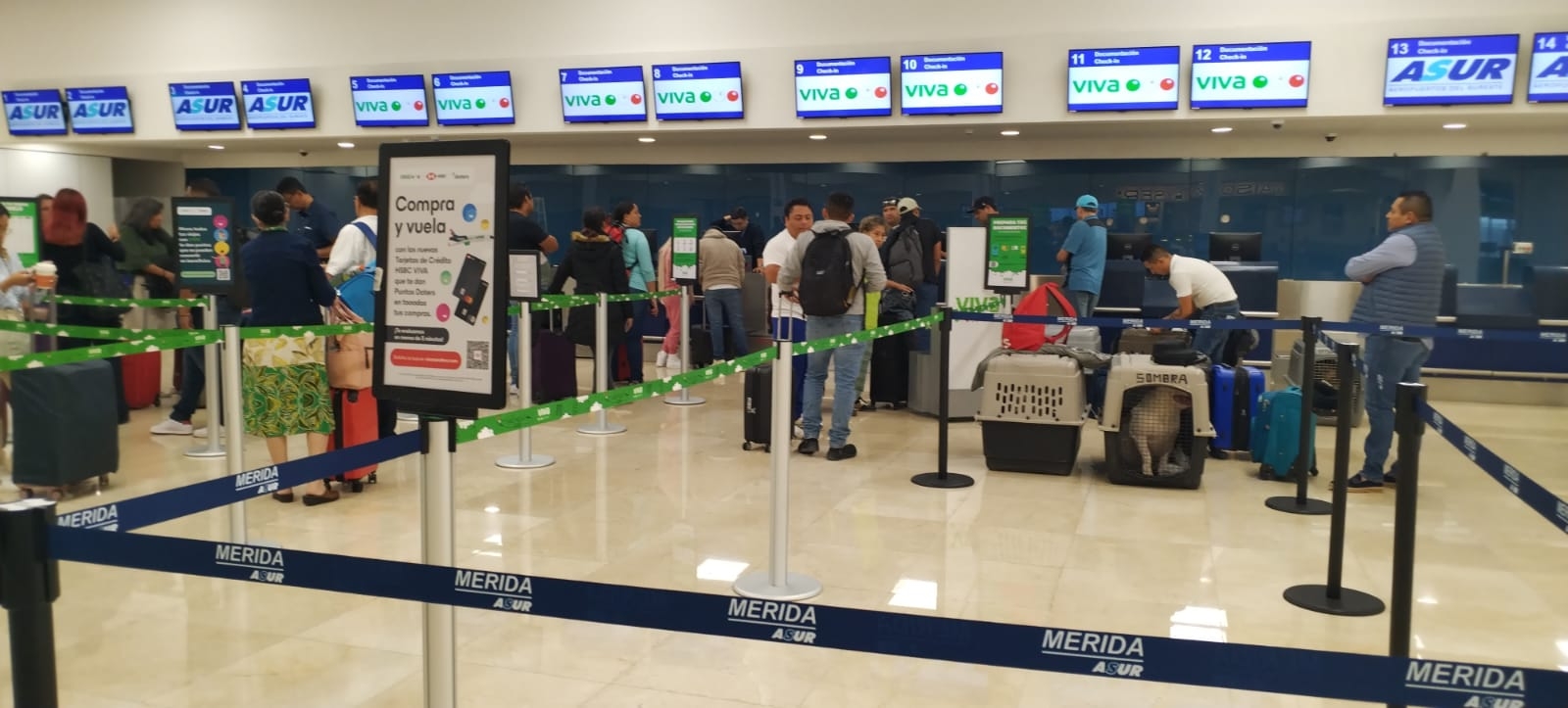 Tripulación de VivaAerobus retrasa más de dos horas el vuelo Mérida-Guadalajara