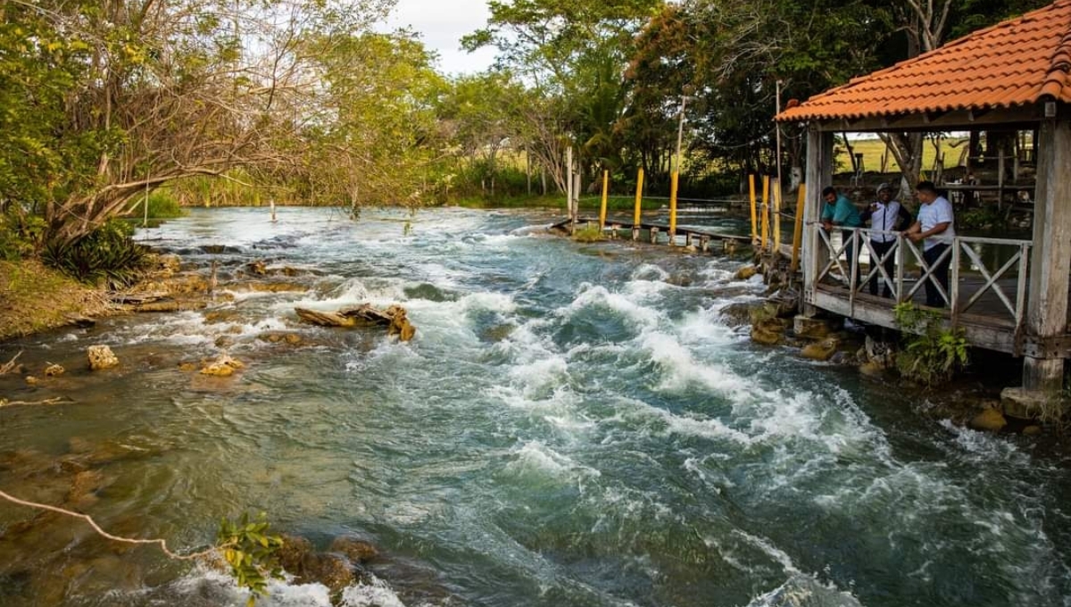 En Campeche, reservas Balam Kin y Balam Kú suman 27 mil hectáreas de conservación