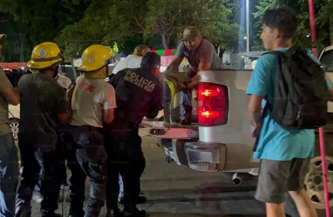 Rescatan a cocodrilo en Chetumal; presentaba una lesión en la cabeza