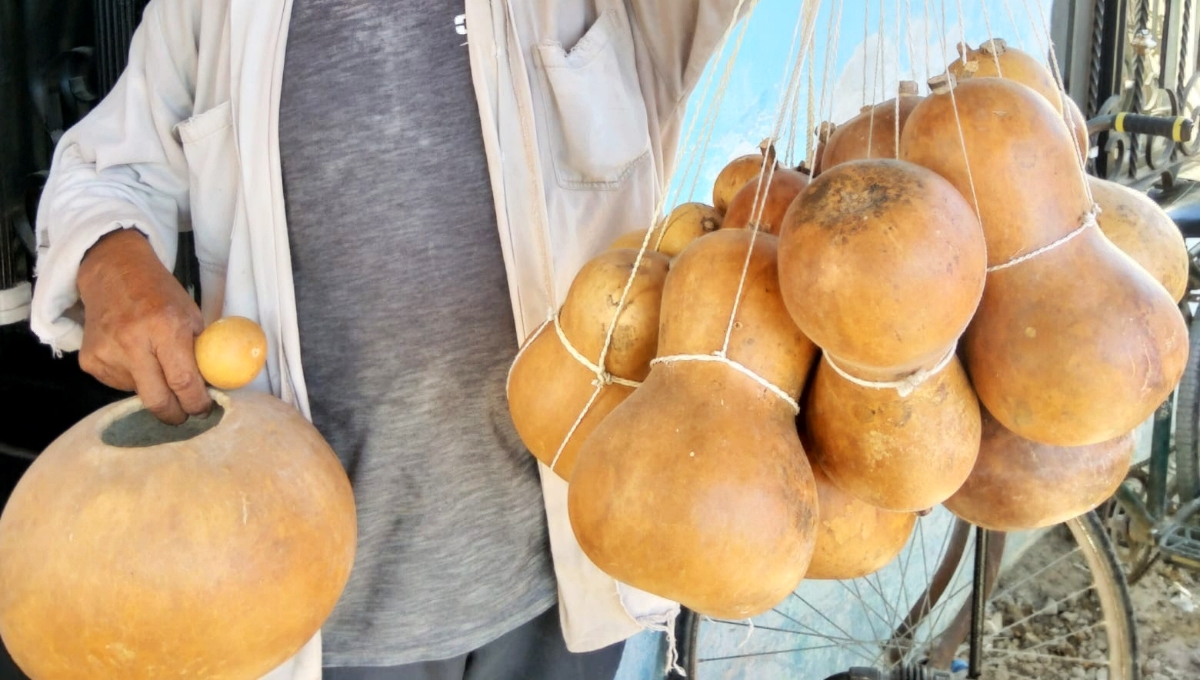 El entrevistado explicó que las nuevas generaciones prefieren usar recipientes de plástico que la cantimplora vegetal