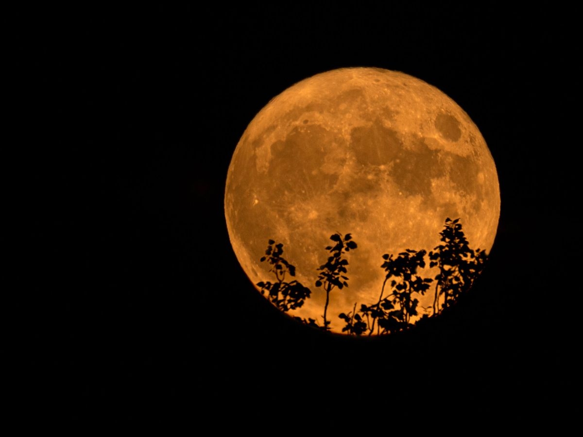 ¿Cuándo es la Superluna de agosto 2023 y cómo verla desde México?