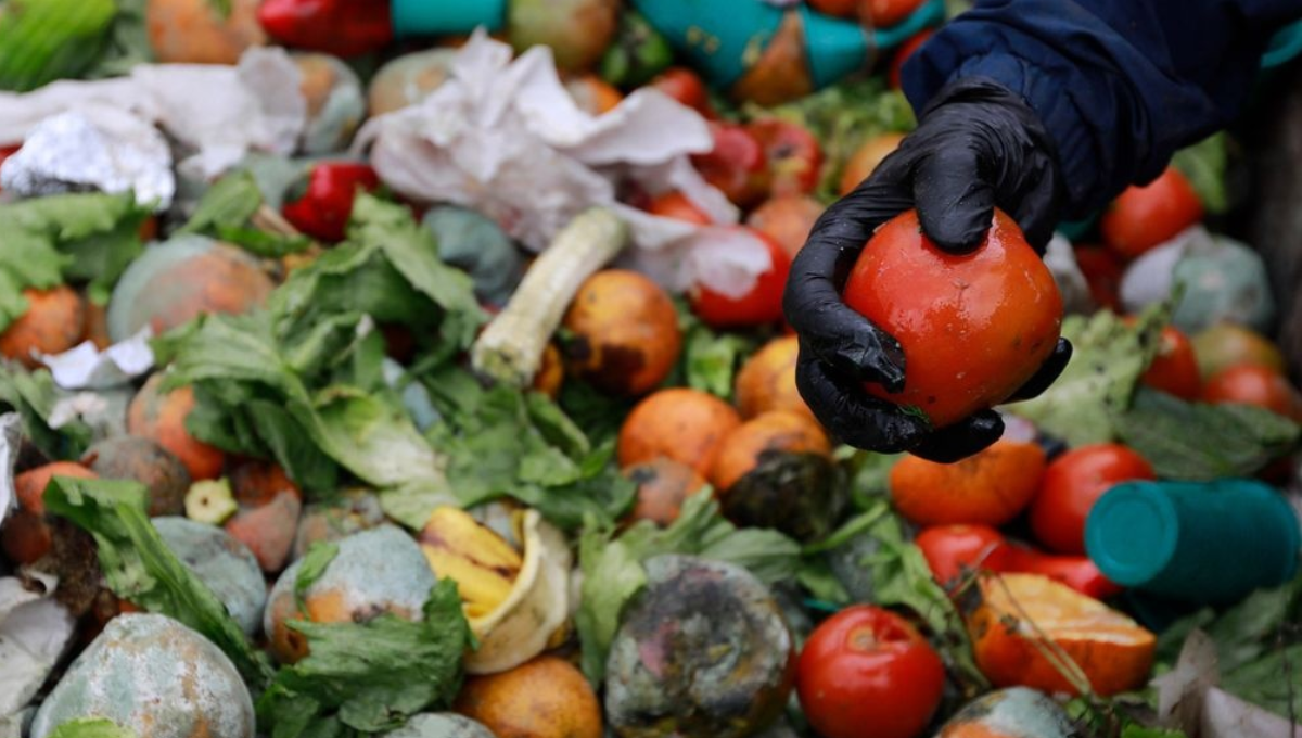 ONU revela la millonaria pérdida que produce el desperdicio de alimentos en todo el mundo