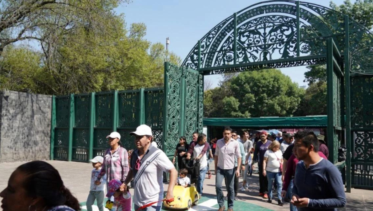 Zoológico de Chapultepec celebra primer siglo de historia: Así se veía hace 100 años