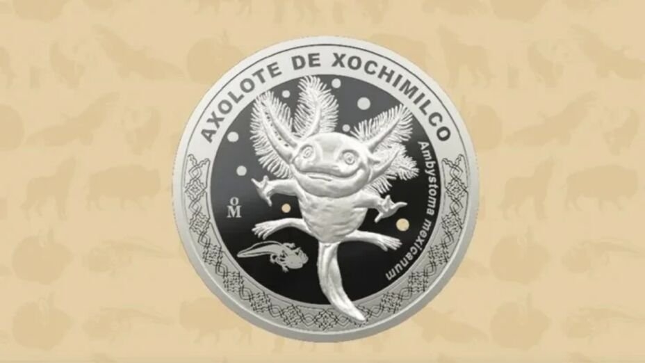 Las monedas son de colección y de una edición limitada