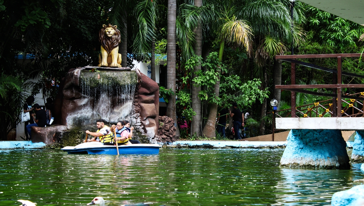 El zoológico Centenario de Mérida es de los más visitados los fines de semana