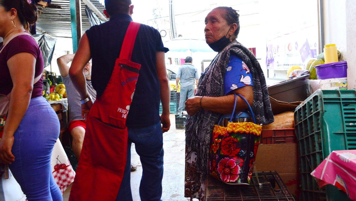 En Campeche, más de 100 mil abuelitos viven entre el abandono, la falta de empleo y la injusticia