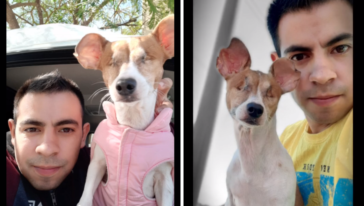 Tiktoker de Monterrey se viraliza por salvar a un perrito sin ojos que dejaron en la basura