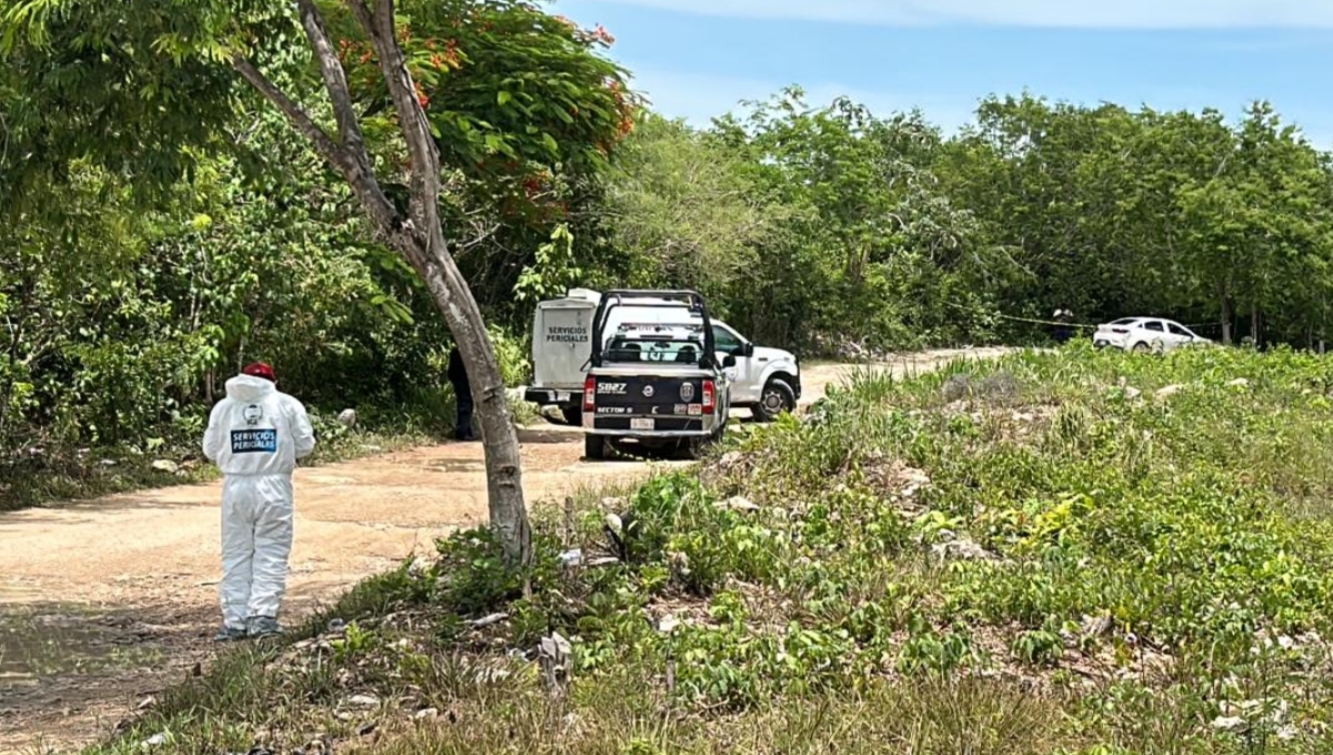 Hallan cuerpo descuartizado en la colonia La Amistad, en Cancún