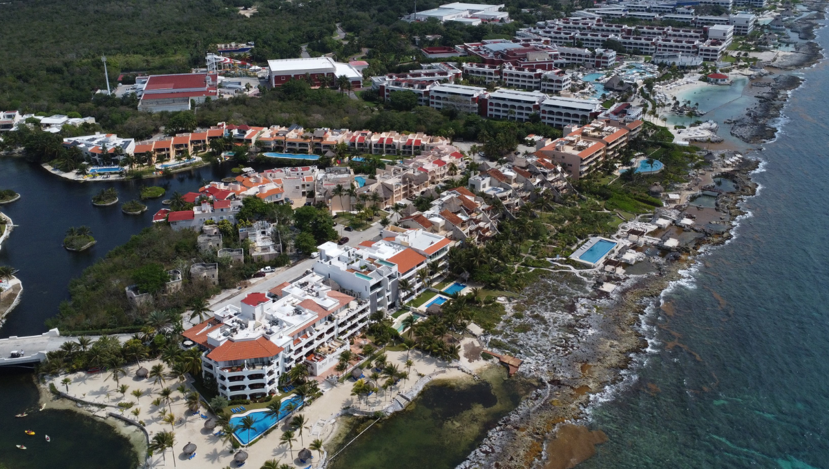 Semarnat rechaza proyecto de arrecifes artificiales en Puerto Aventuras por tercera vez