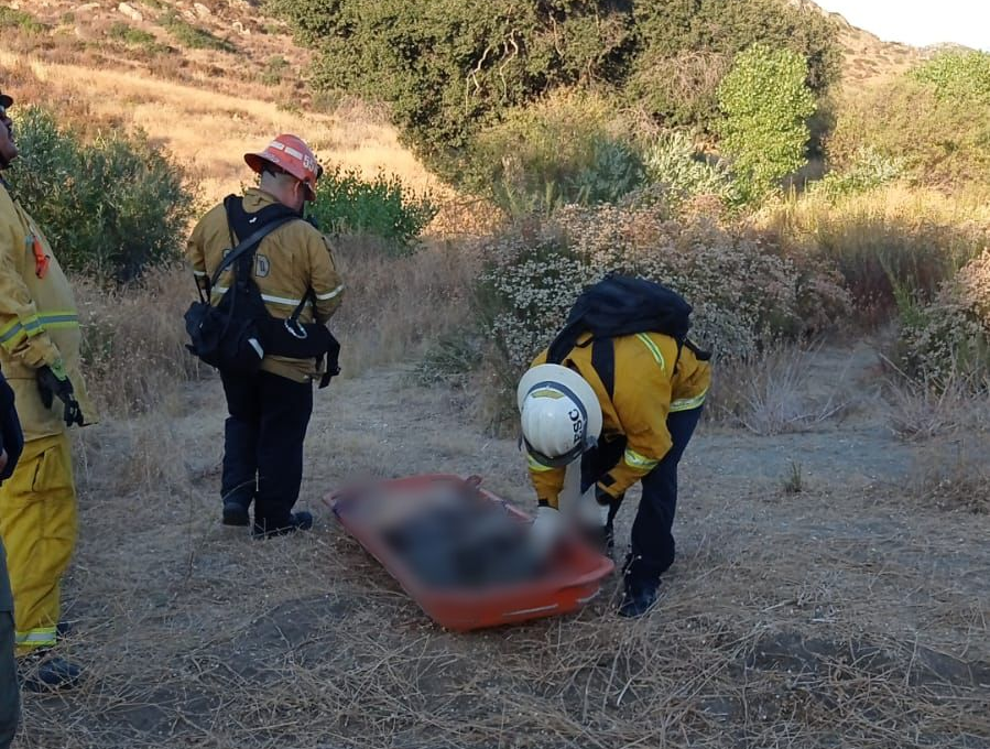 El cuerpo del migrante quedó varado a medio desierto