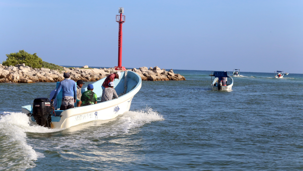 Pescadores de los diferentes puertos califican  como regular la primera jornada de captura de pulpo