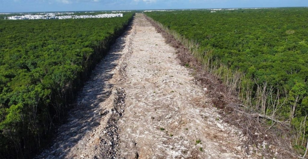 Semarnat observa inconsistencias en datos sobre deforestación en la ruta del Tren Maya