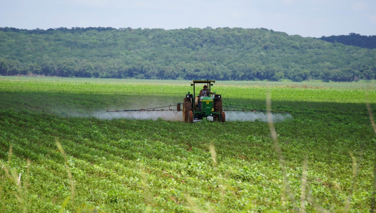 Uso de pesticidas en Campeche contamina la leche materna: Secretaría de Medio Ambiente