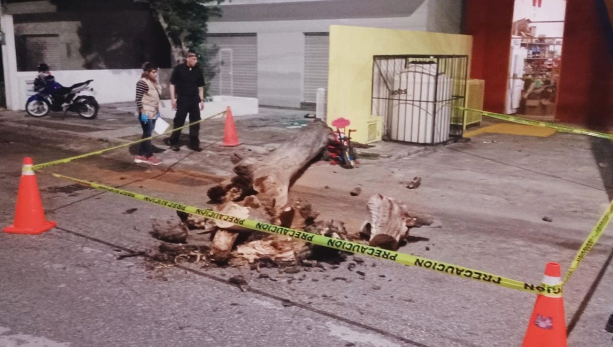 Niño de cuatro años muere al ser aplastado por un árbol en Umán