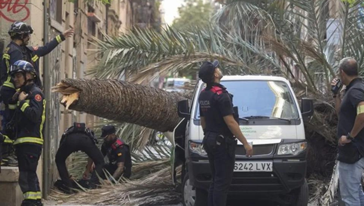 La joven trabajaba en una oficina cercana al lugar del accidente