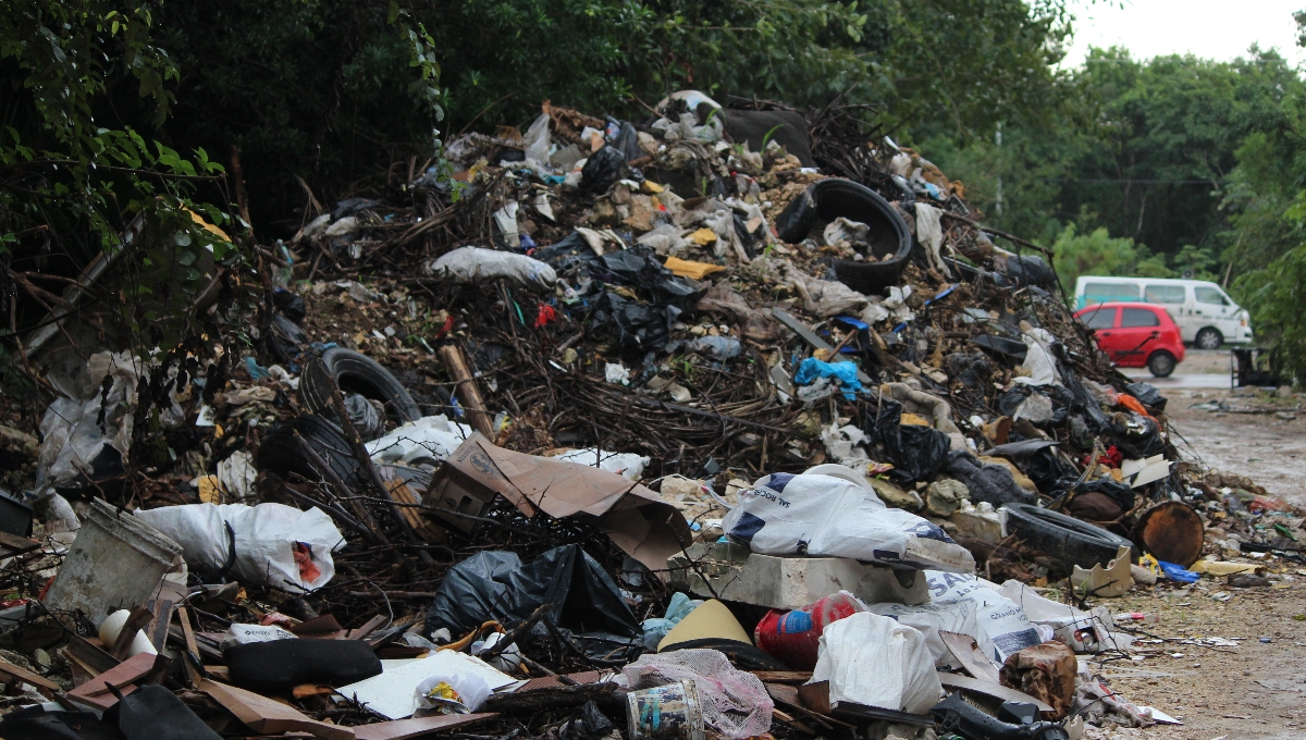 ¡Adiós a Pimsa en Cancún! Ayuntamiento prepara licitación para el tratamiento de la basura