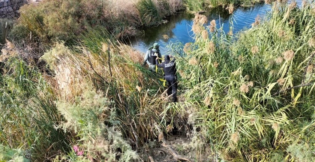 Los cuerpos fueron encontrados por policías luego de un reporte de los vecinos de la zona