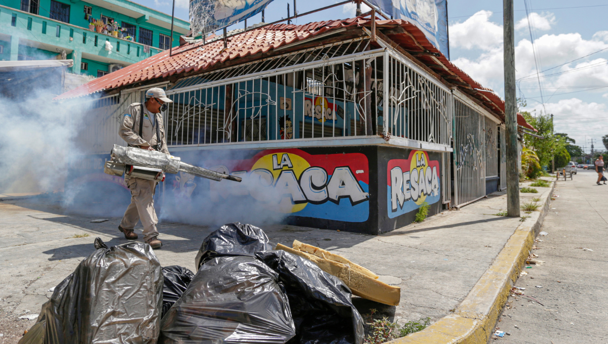 Muere chiapaneco por dengue en Playa del Carmen; van cuatro casos en el año