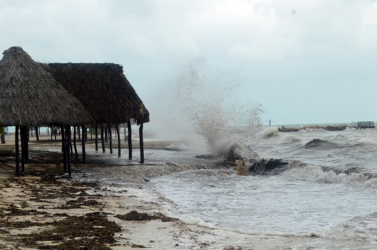 Preparan simulacro por ciclón tropical en Campeche