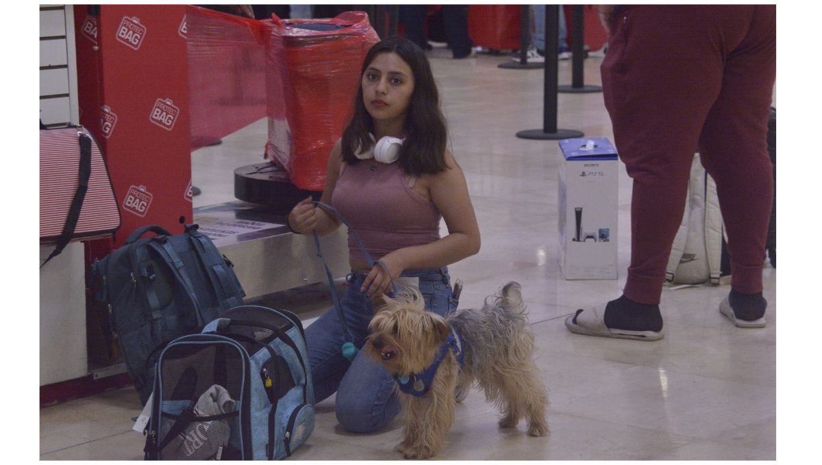 Lomito enamora a pasajeros del aeropuerto de Cancún