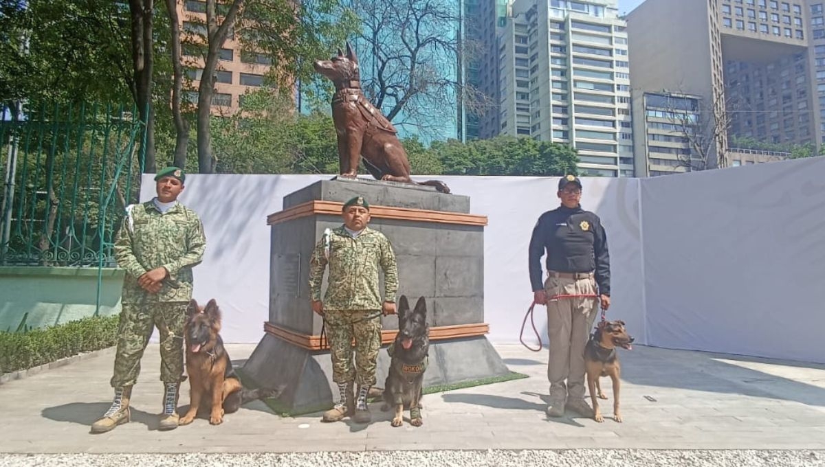 En el Día Nacional del Binomio canino, la Sedena develó una estatua de Proteo, quien muriera prestando sus servicios en Turquía