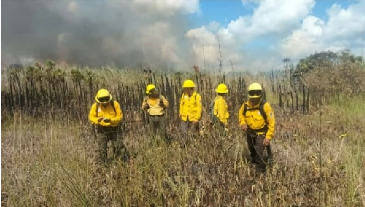 El incendio de la Biosfera de Sian Ka’an llega a X-Hazil Sur en Felipe Carrillo Puerto