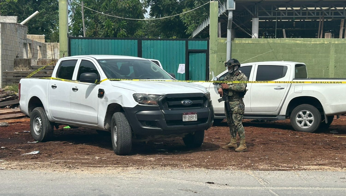 Aseguran inmueble con aserradero ilegal en Playa del Carmen