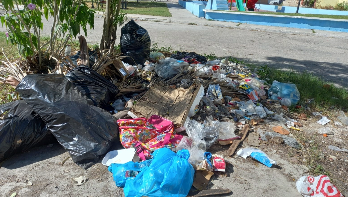 La acumulación de basura se puede observar en diversas calles de los municipios 
