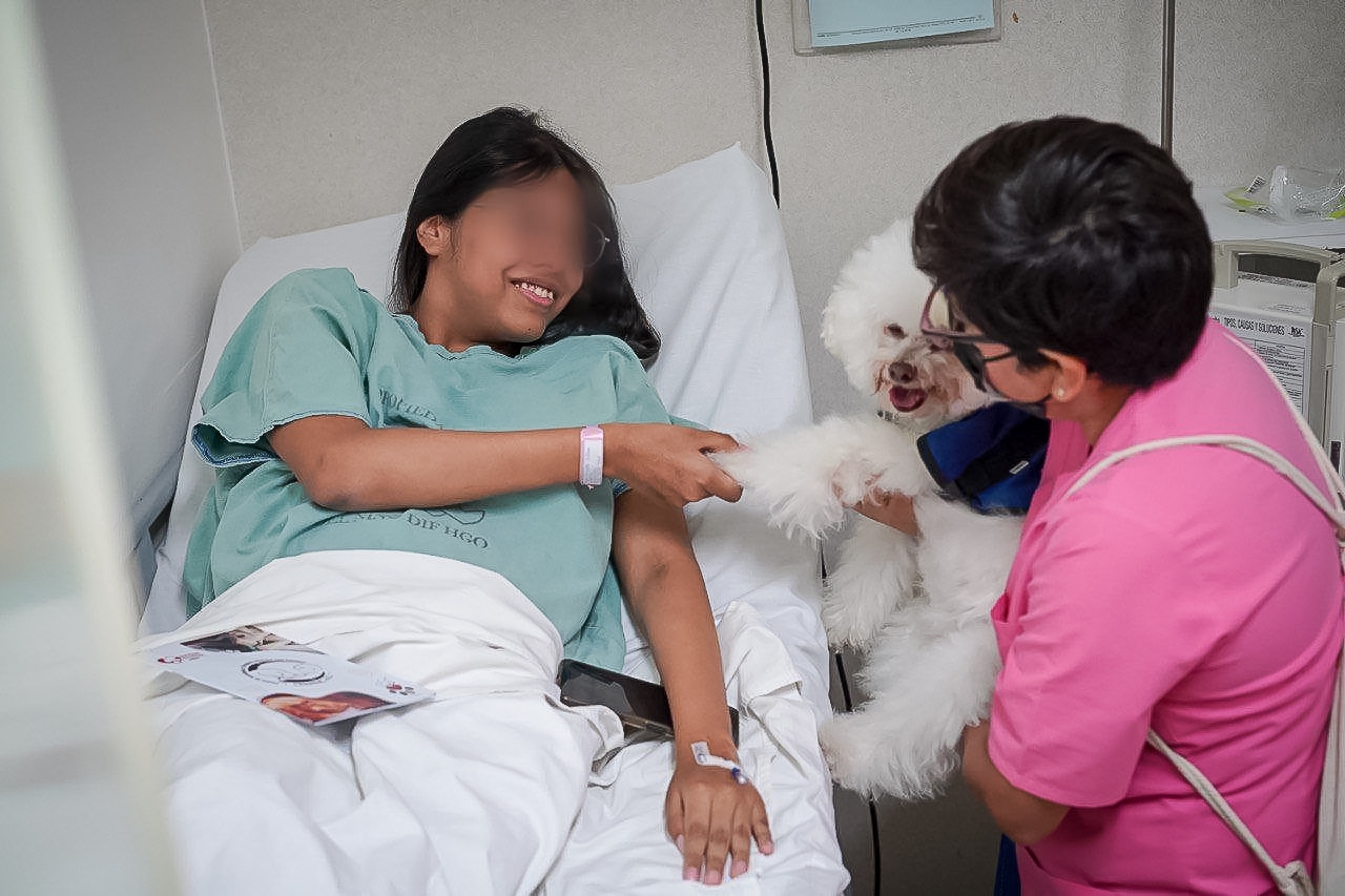 Hospital del Niño DIF Pachuca atiende a menores con terapia canina