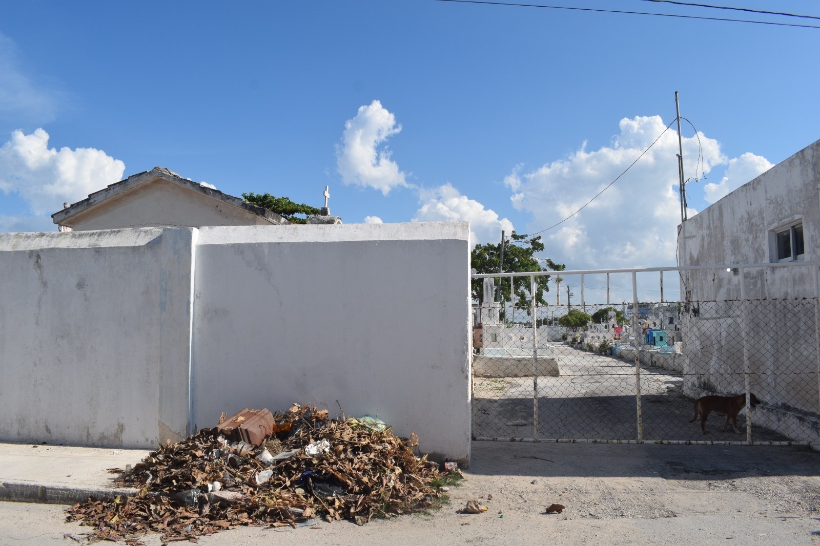 Muertos 'se salen' del cementerio de Progreso; vecinos denuncian ataúdes en las calles